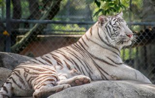 Agape Christian School Sarasota SEPT 2024 newsletter